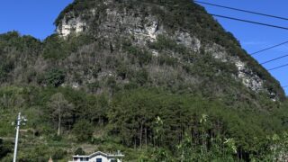 水苔自生地