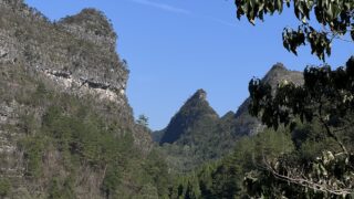 自然豊かな水苔自生地